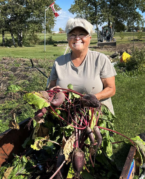 Woman standing in garden with harvest of beets on trailer. 