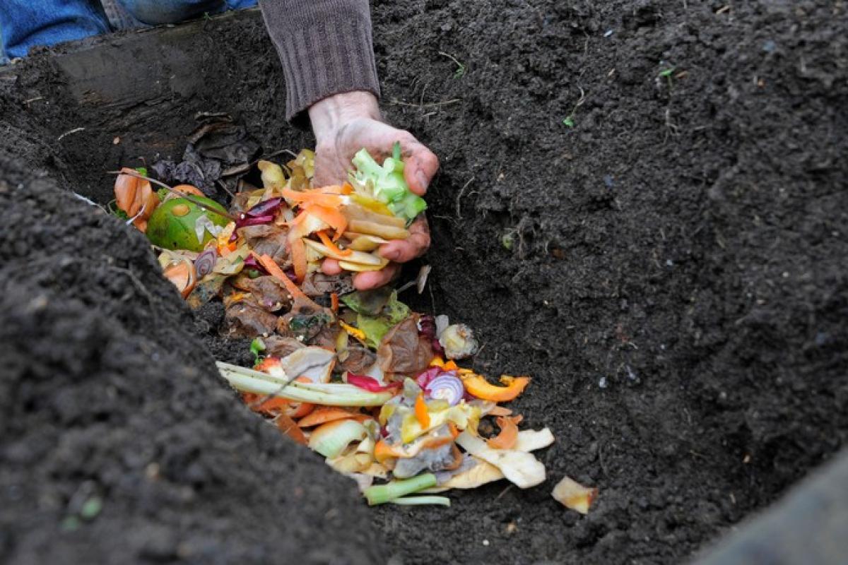 Person placing vegetable scraps in a dirt bed. 