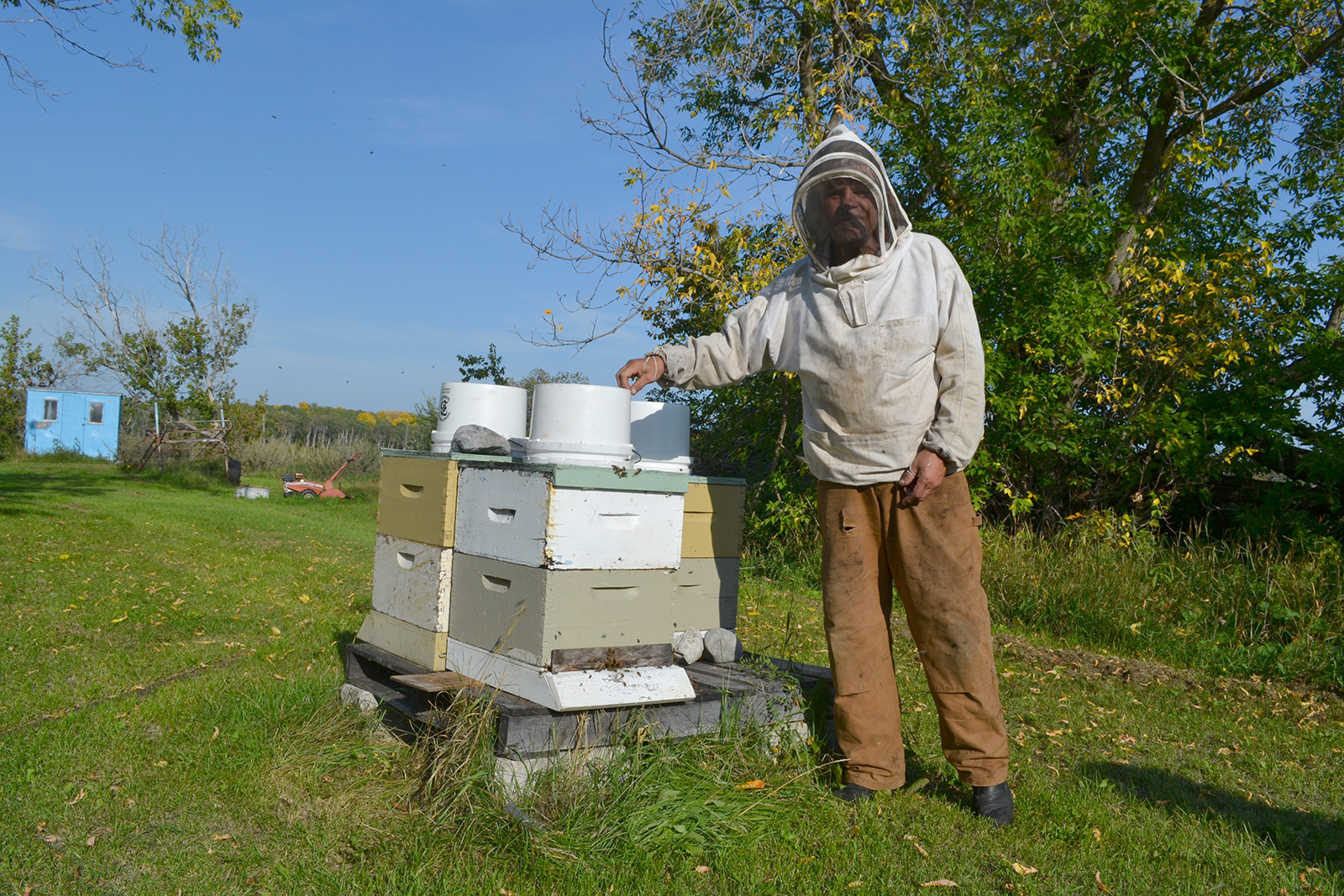 Bee Keeper – Dave Olson of Peonan Point